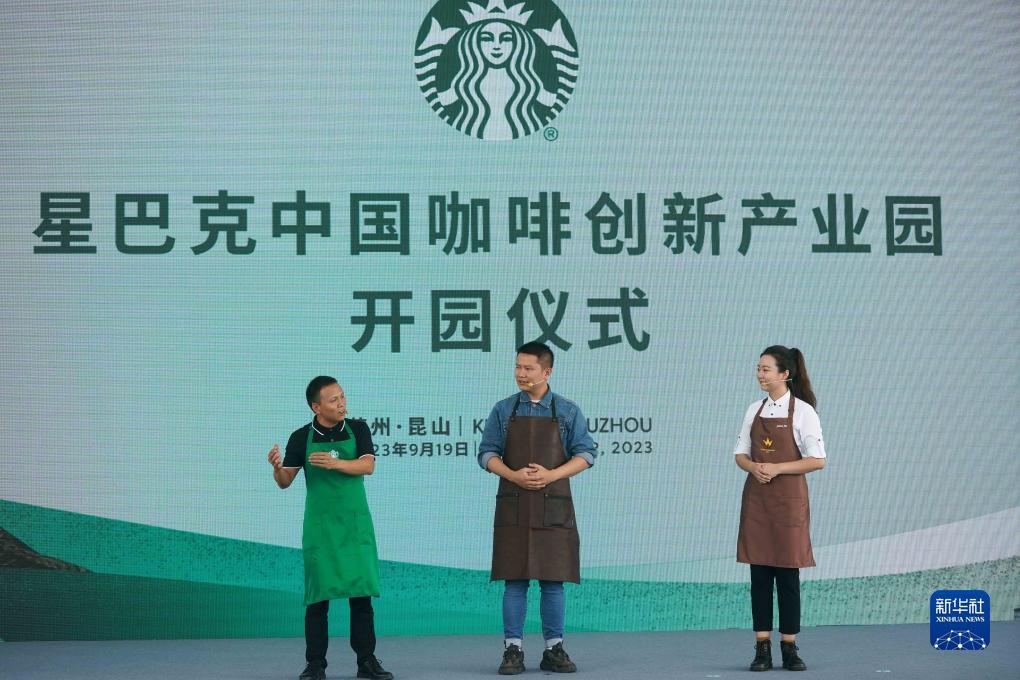 巴黎人网络排名